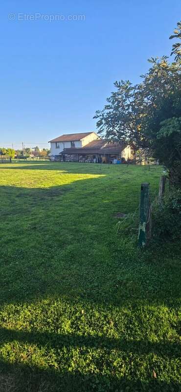 Maison à SAINT-JEAN-SUR-VEYLE