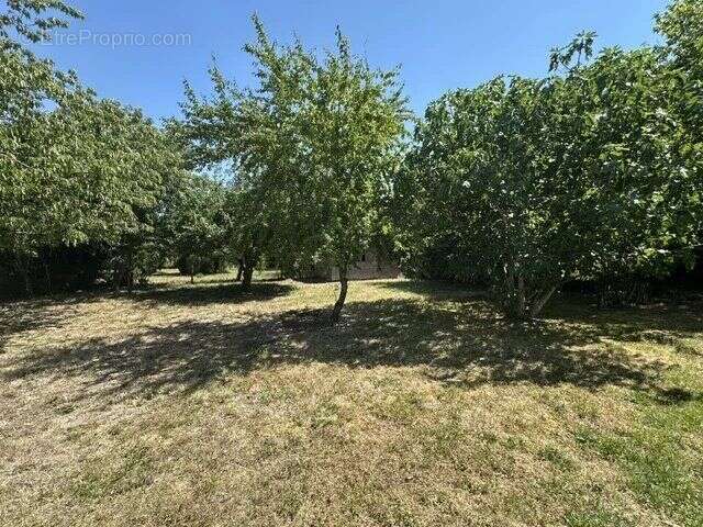 Vente Maison Verrieres(86410) 139 500ï¿œ - photo 3