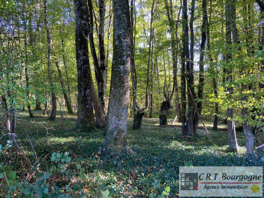 Maison à MOULINS-SUR-OUANNE