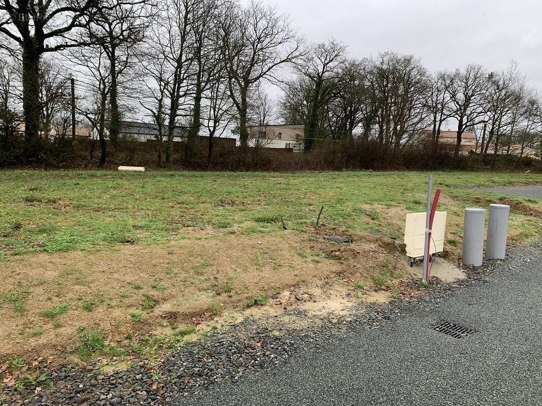 Terrain à ARTHON-EN-RETZ