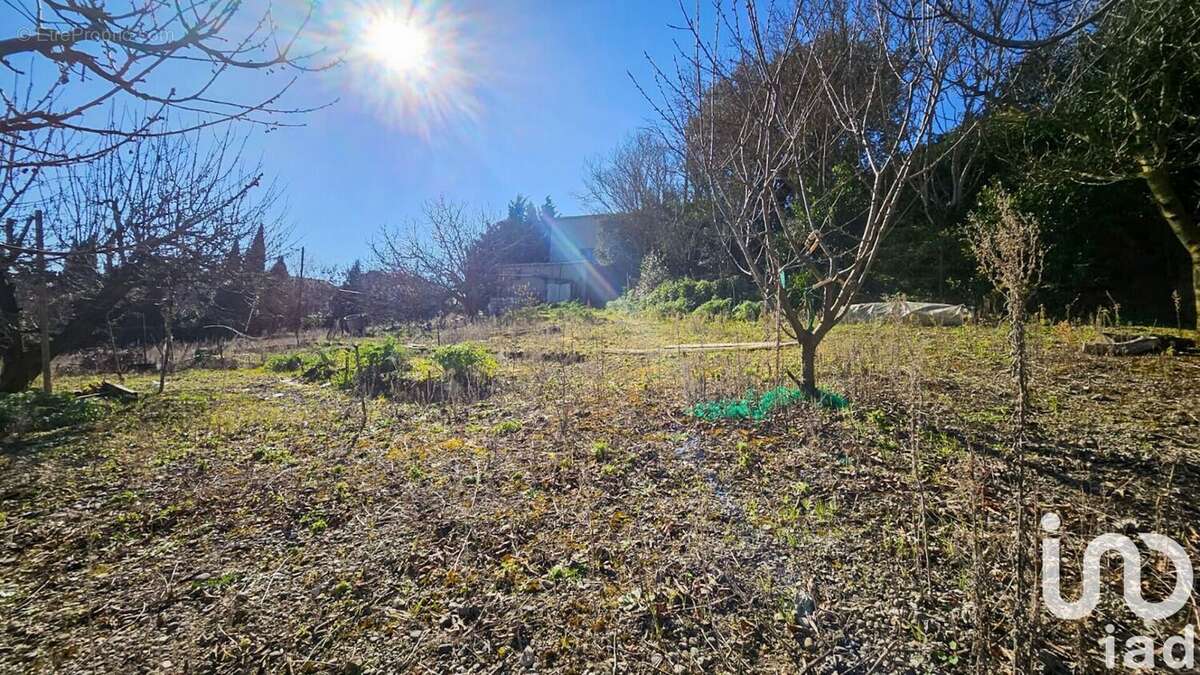 Photo 8 - Terrain à VILLASAVARY