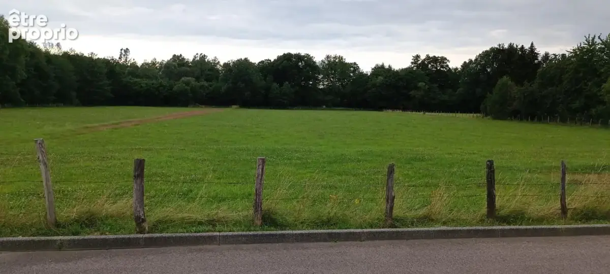 Terrain constructible.  9159 M2 m2 luxeuil - photo 11