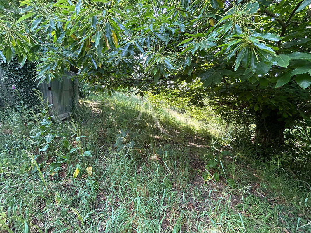 Terrain à CHATEAU-GONTIER