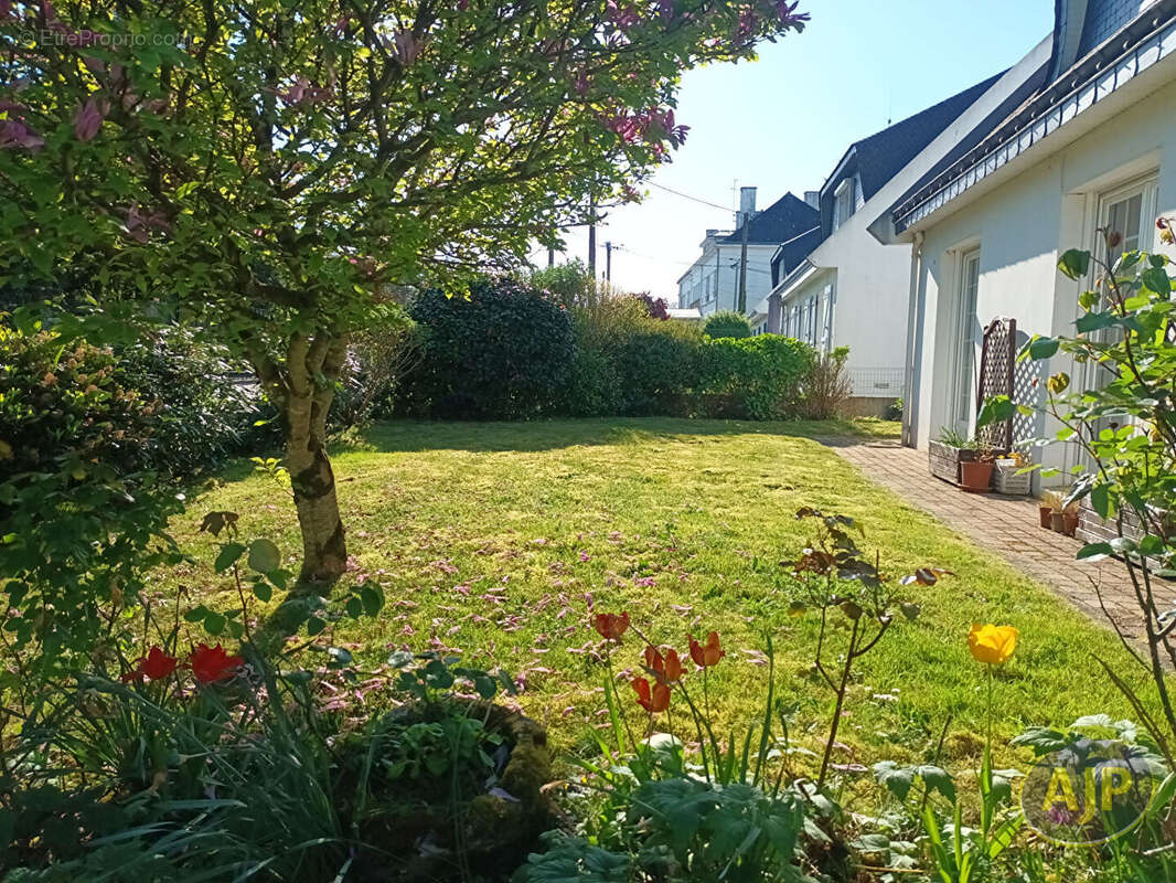 Maison à QUESTEMBERT