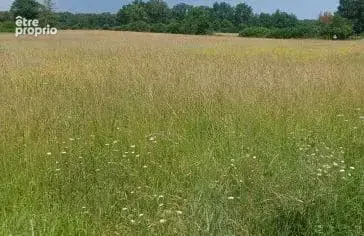 Terrain à VENDEUVRE-DU-POITOU