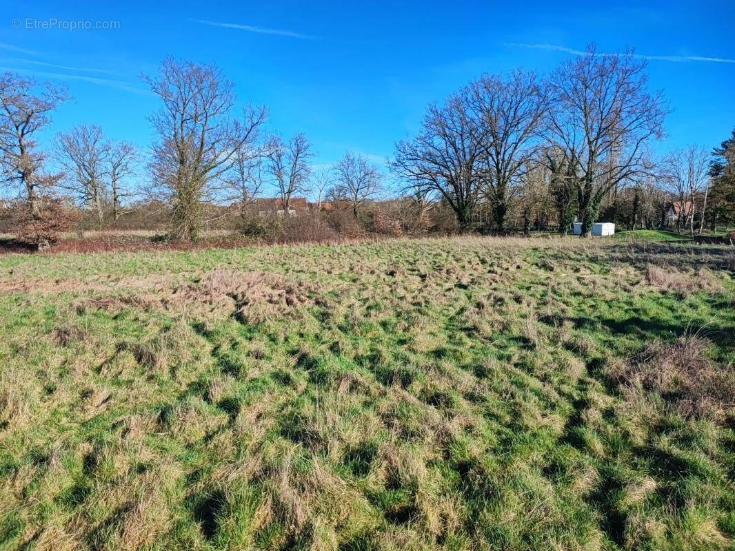 Terrain à SAINT-AMAND-MONTROND