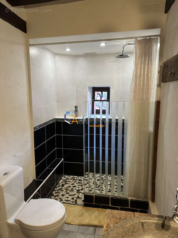 Maison 347 m² à Courtenay  - photo 8