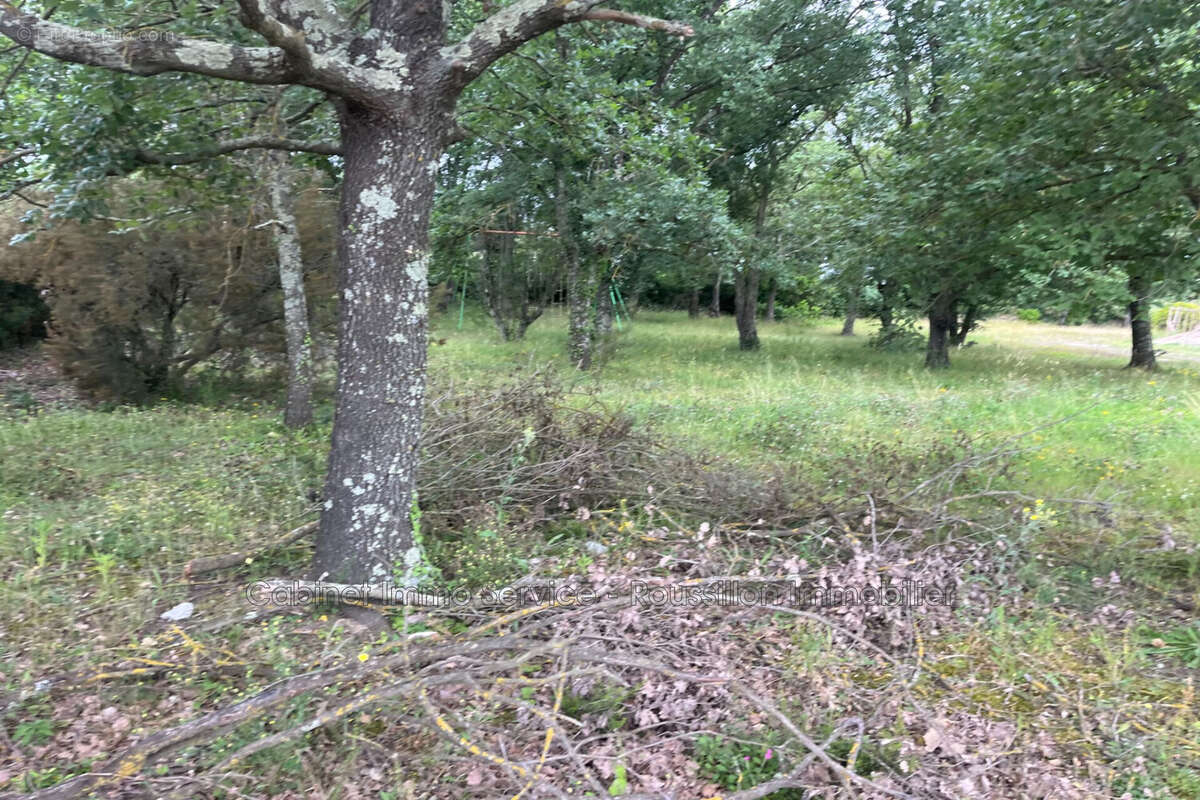 Terrain à MAUREILLAS-LAS-ILLAS