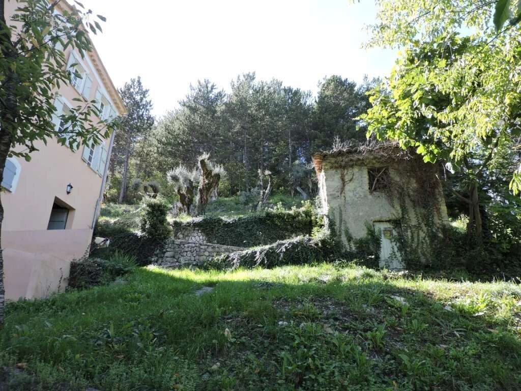 Maison à ENTREVAUX