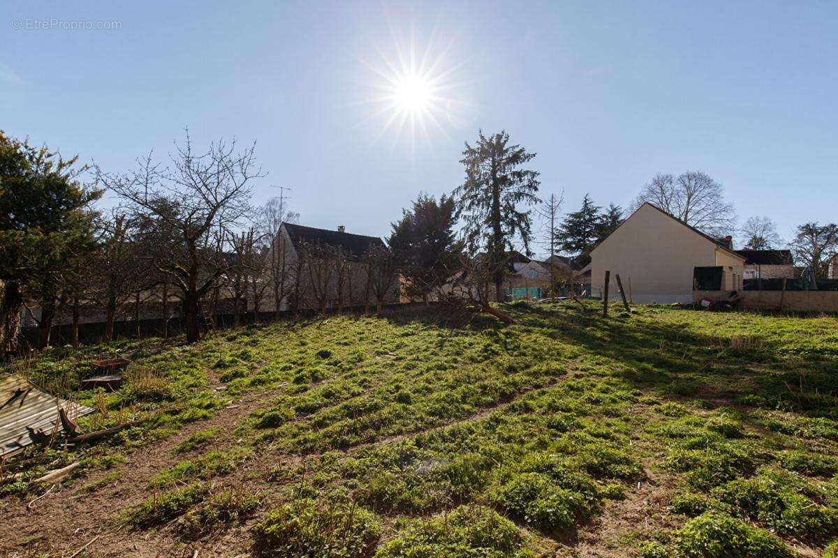 EXCLUSIVITÉ PROPRIÉTÉS-PRIVÉES: Terrain constructible sur Longuesse - photo 3