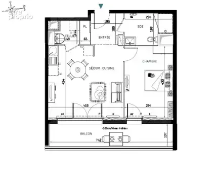 Appartement T2 de 43,70 m2 avec balcon.