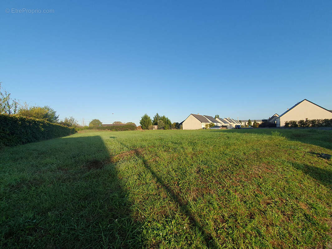 Terrain à CHAVAGNES