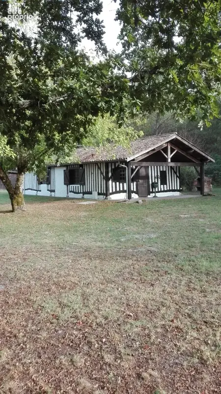 Maison 131 m² à Callen  - photo 4