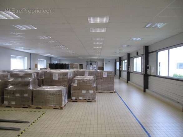 Vente local d'activité - stockage et bureau de 239 m² à 474 m² - photo 4