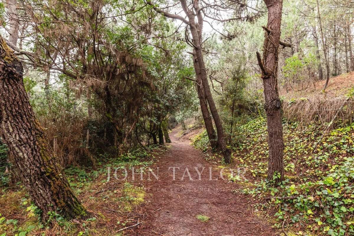 Maison à LEGE-CAP-FERRET