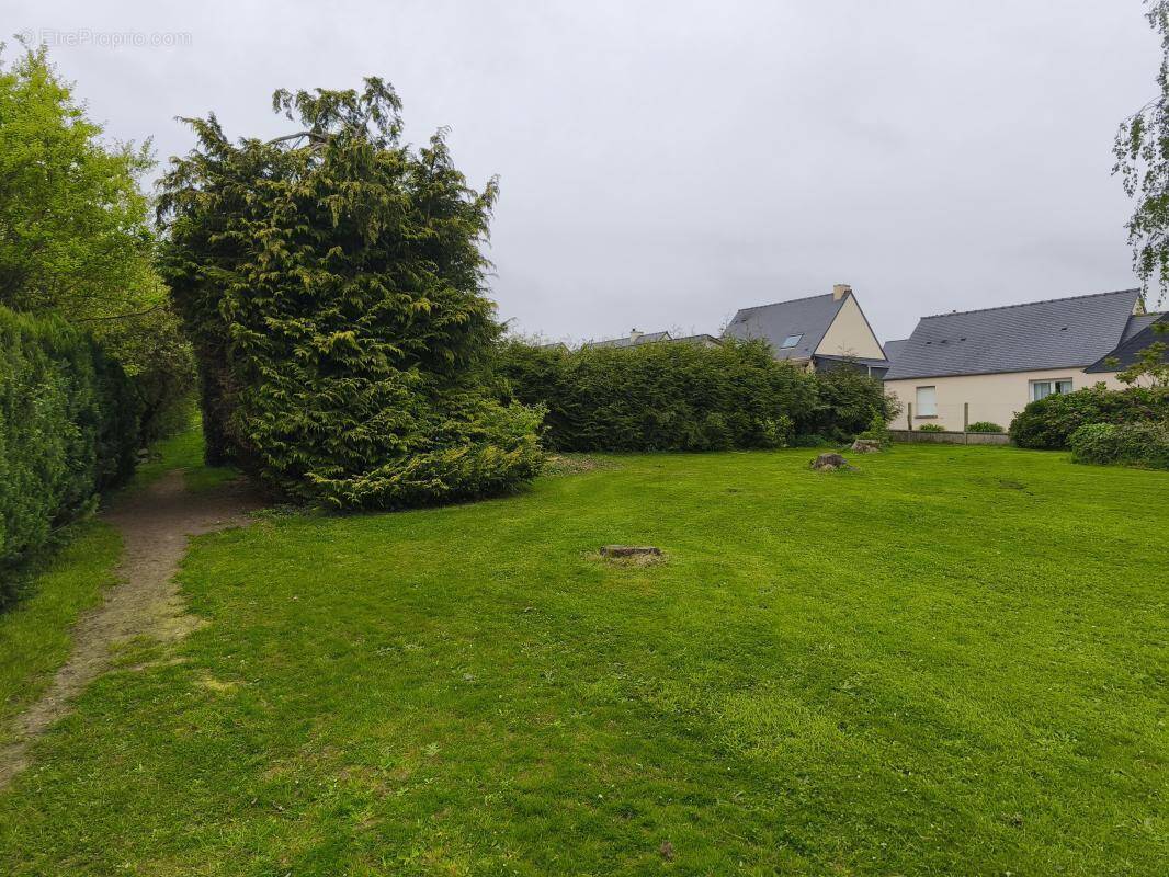 Terrain à PLUMAUDAN