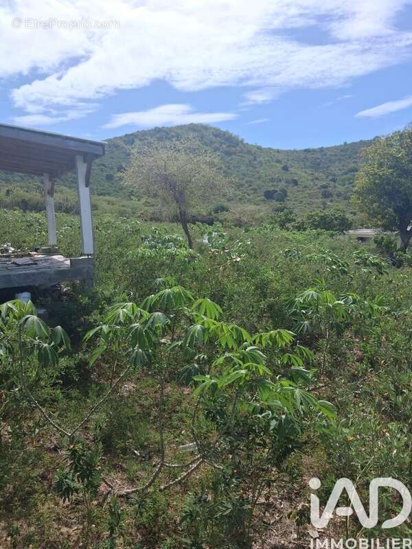 Photo 2 - Terrain à SAINT-MARTIN