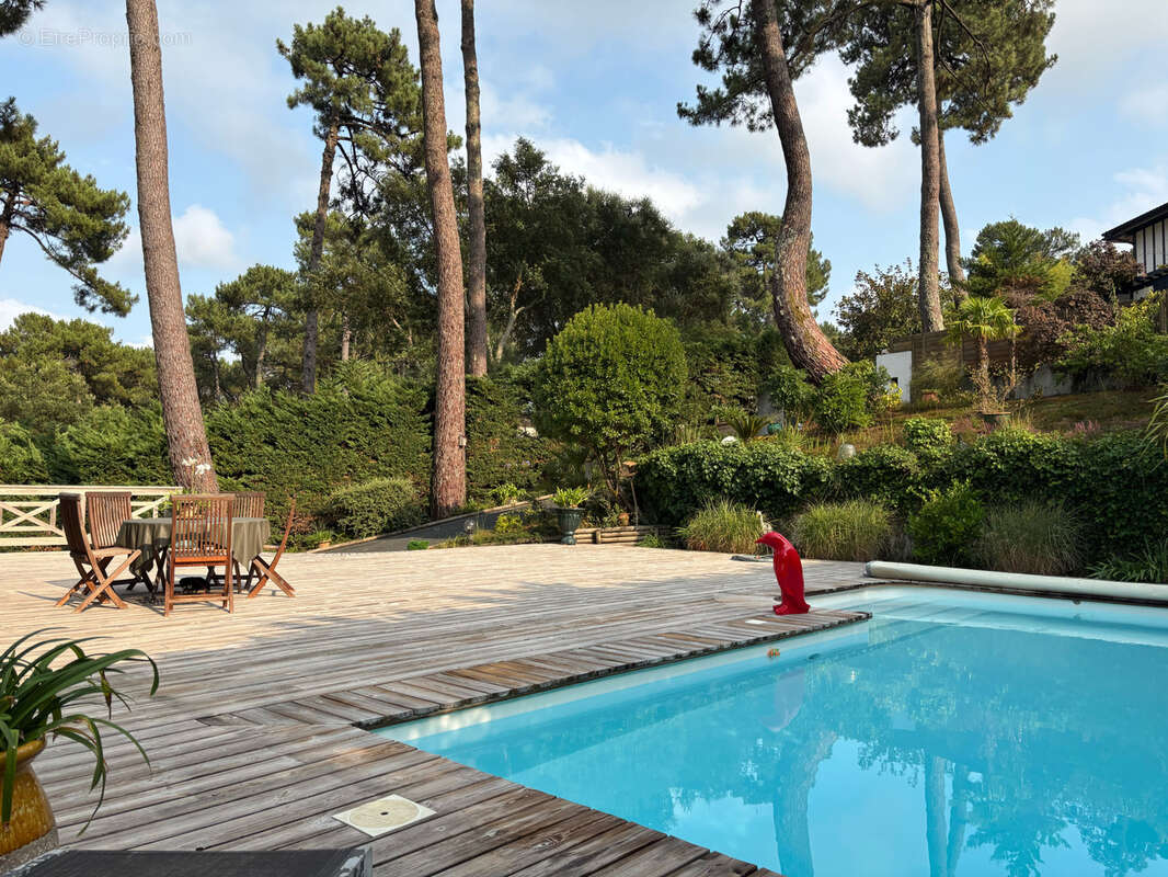 Villa d’architecte perchée dans les arbres avec piscine et vue panoramique - photo 2