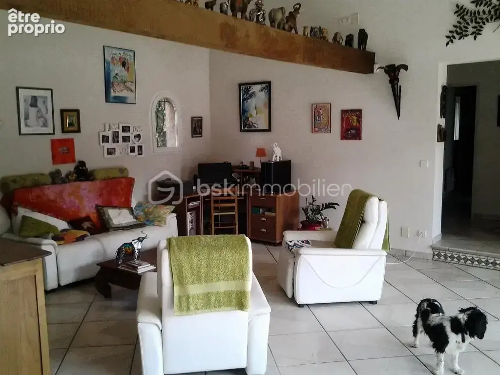 Belle villa languedocienne sur grand terrain - photo 5
