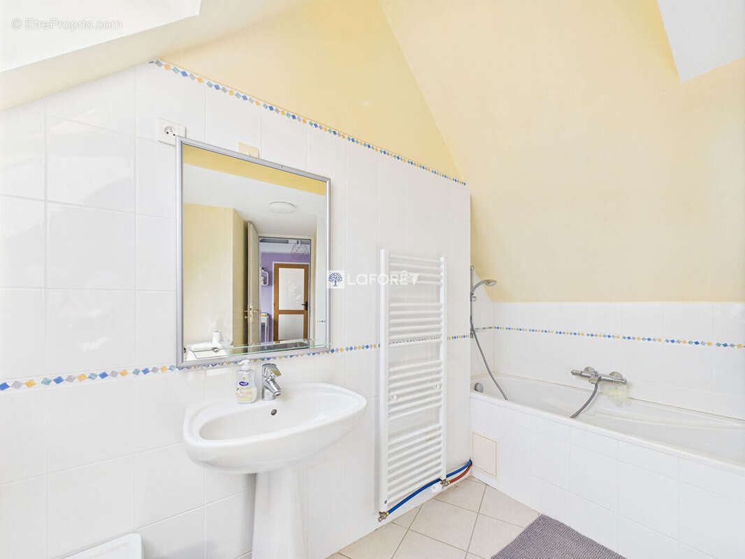 Maison Plonevez Du Faou 12 pièce(s) 342 m2 - photo 15