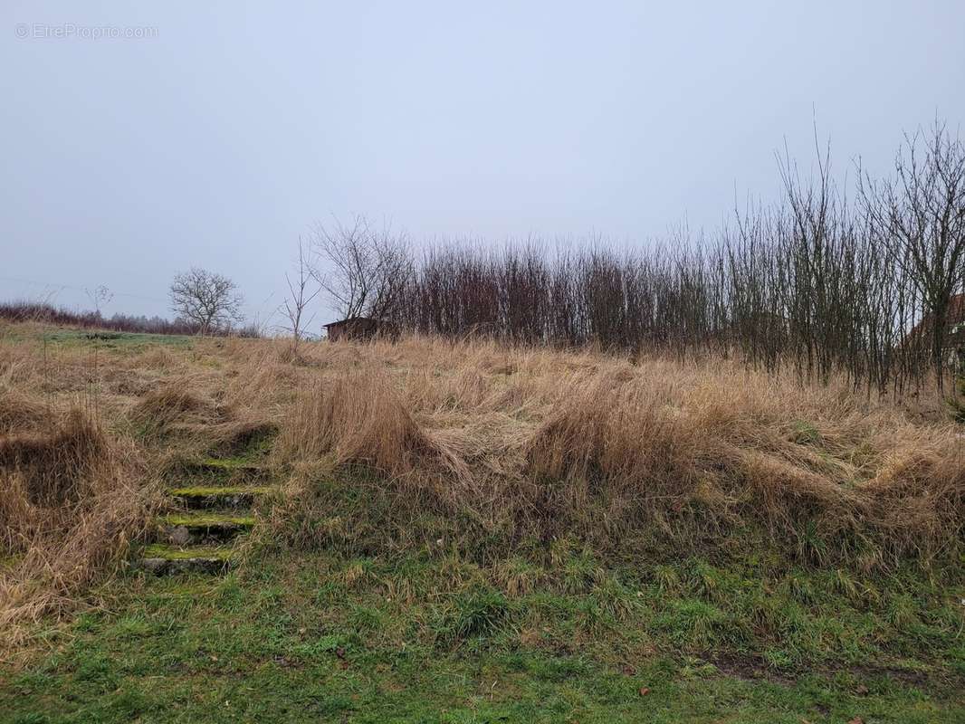 Terrain à MONCEL-SUR-SEILLE