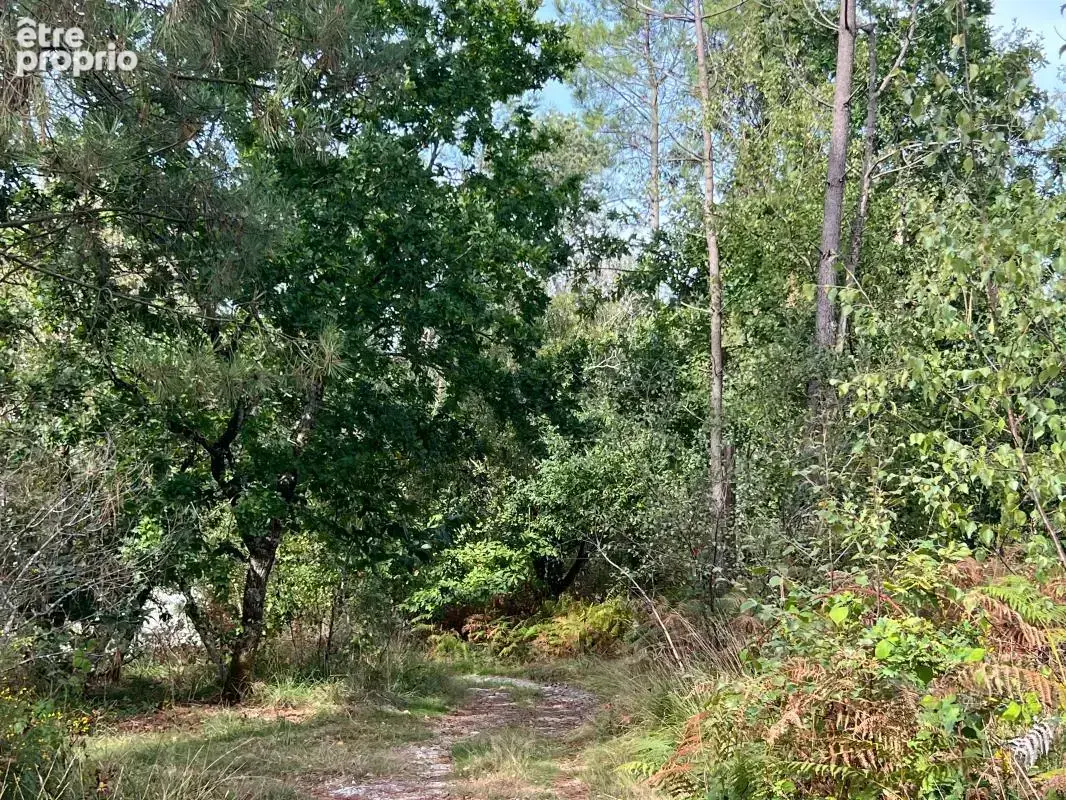 À vendre – argol – finistère – presqu’île de crozon-exceptionnel terrain de loisirs de 40 000 m² - photo 40