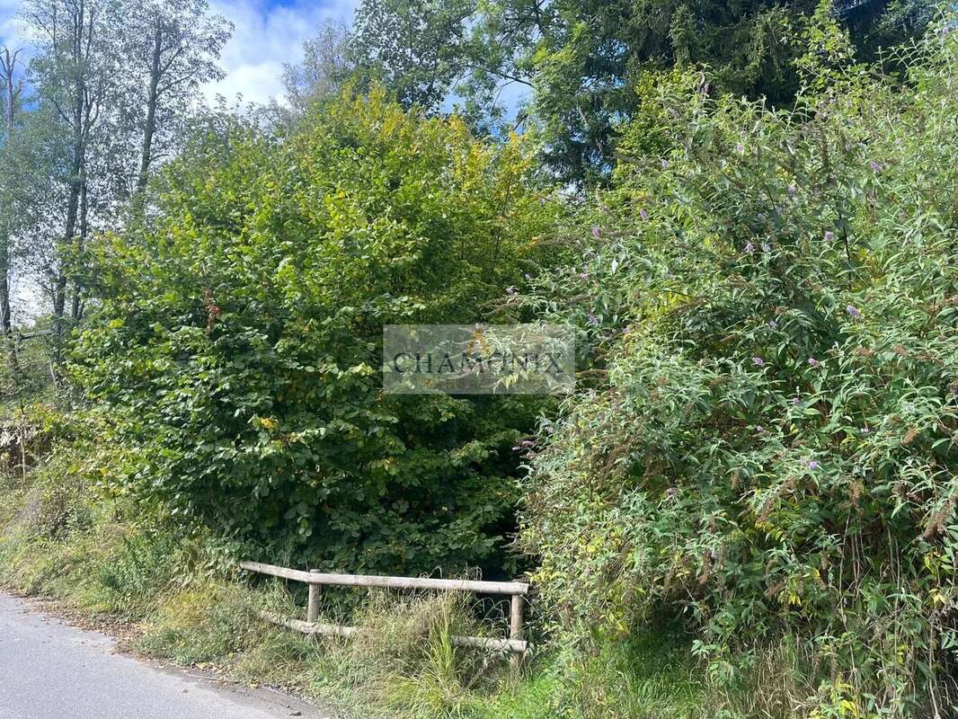 Terrain à LES HOUCHES