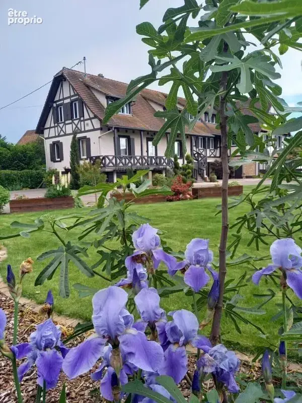 Près de Gerstheim, Domaine de gîtes  – Fort potentiel touristique - photo 4