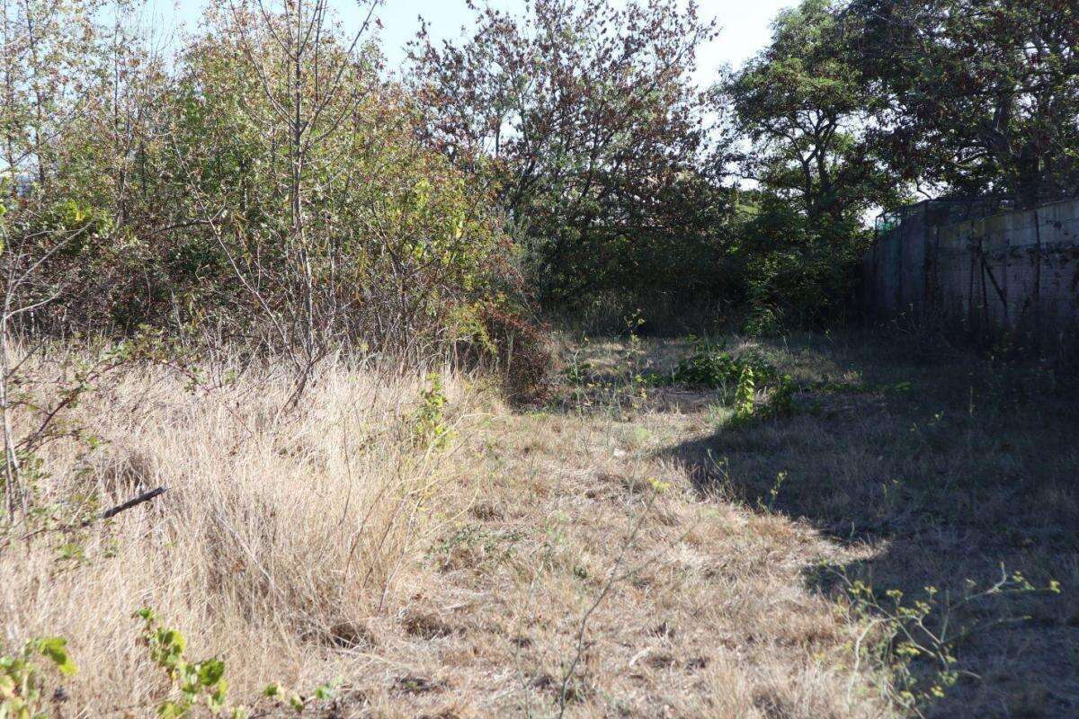 Terrain à LA LIVINIERE