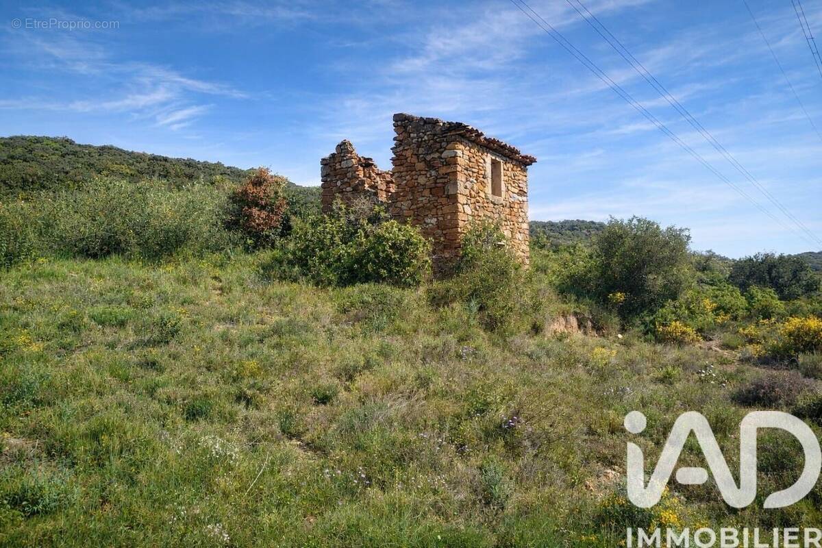 Photo 1 - Terrain à NEFFIES