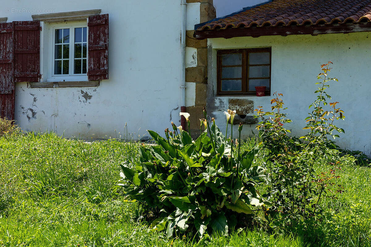 Photo 4 - Maison à SAINT-PALAIS