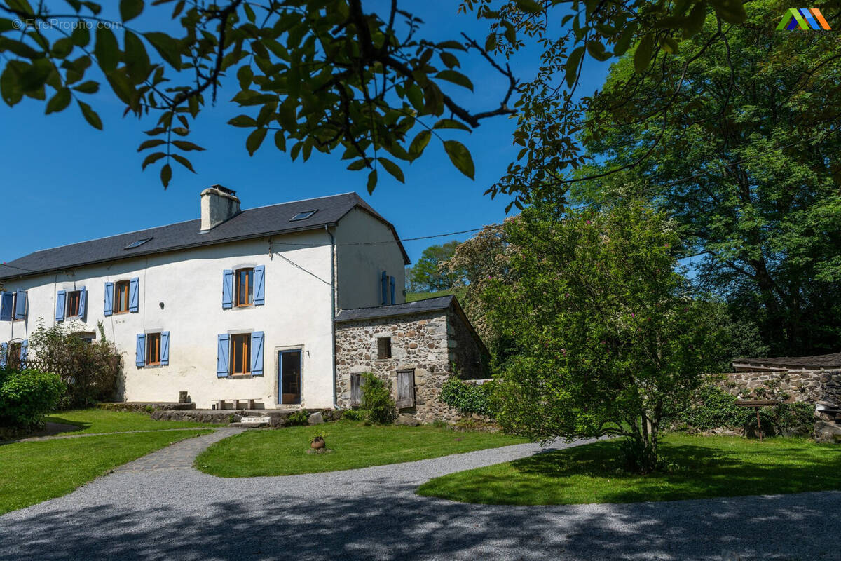 Maison 320 m² à Arudy  - photo 2