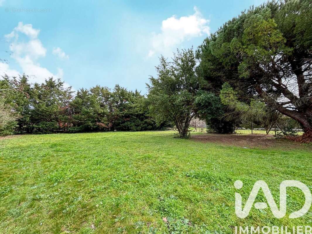 Photo 3 - Terrain à CARCASSONNE