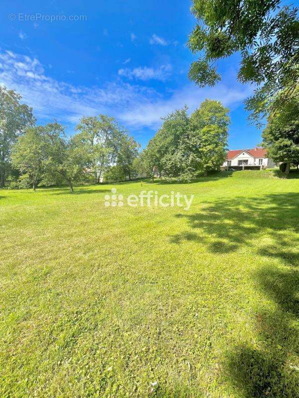 Maison à JONCHERY-SUR-VESLE