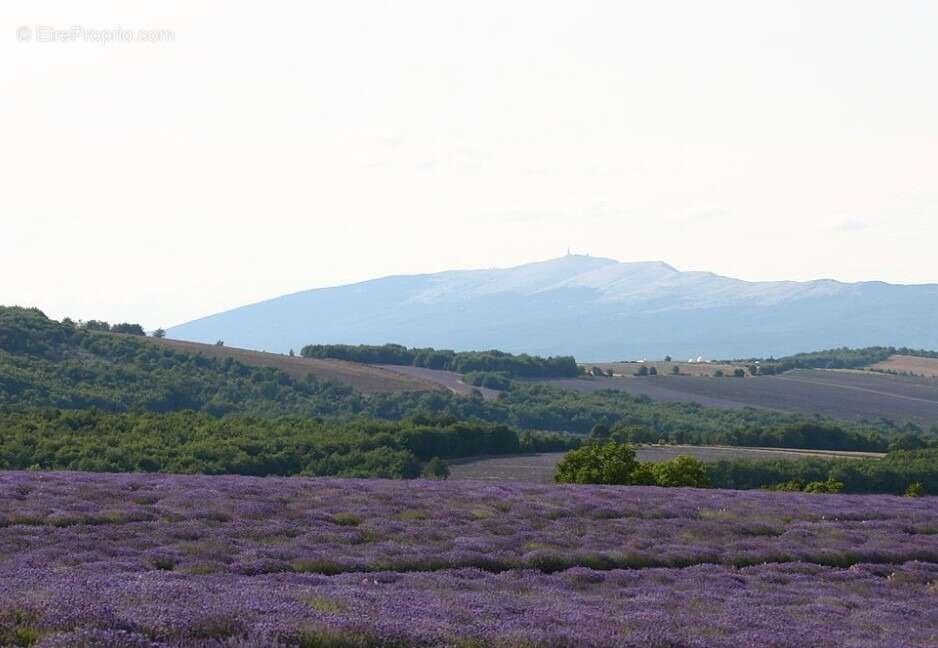 Terrain à SAINT-CHRISTOL