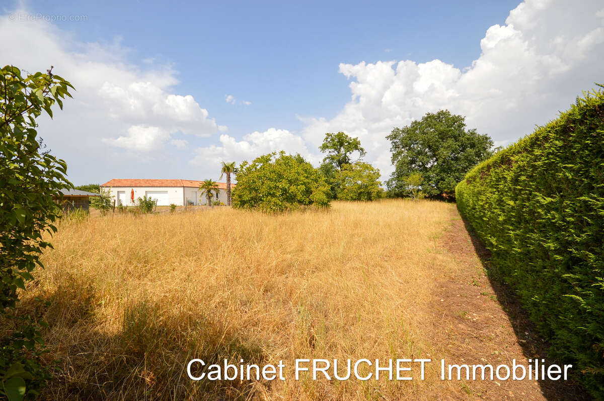 Maison habitable avec beau terrain attenant - photo 7