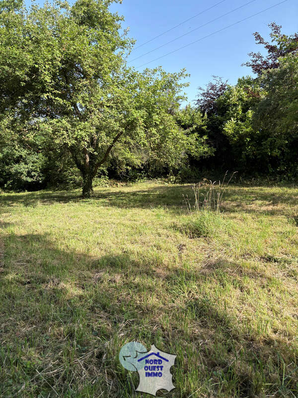 Terrain de loisirs - photo 2