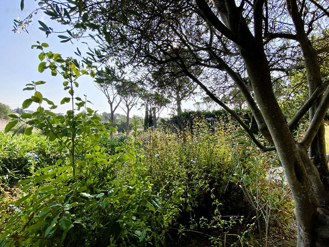 Maison à SAINT-RAPHAEL