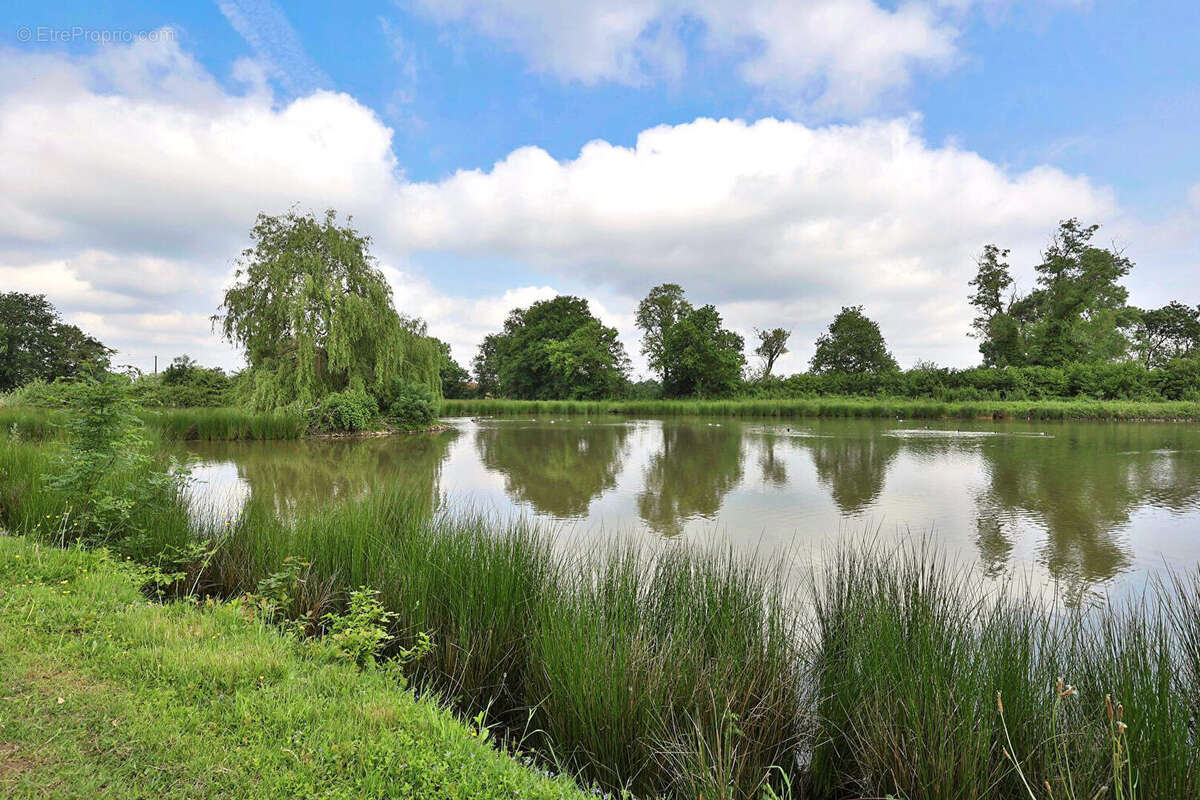 Maison à BOURG-EN-BRESSE