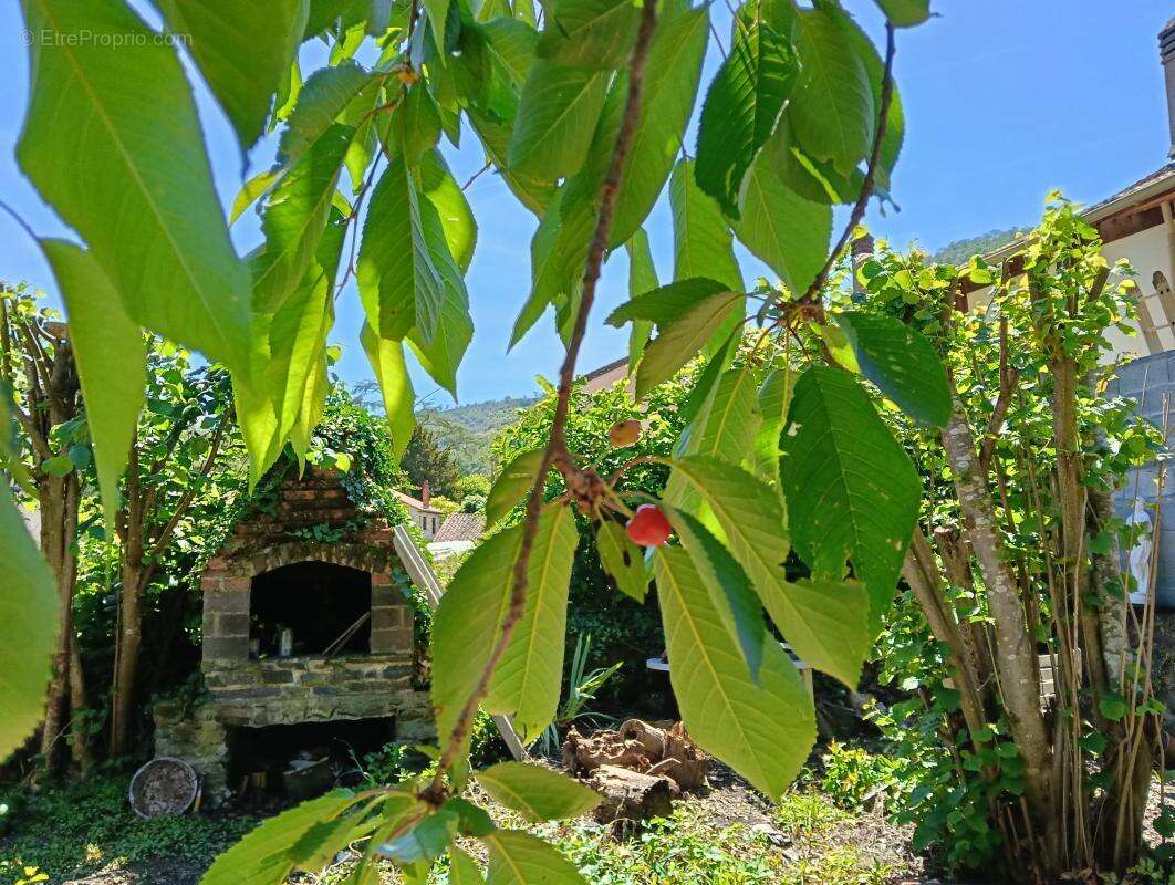 SOUS OFFRE ACCEPTEE - VIVIEZ - Maison 2/3 chambres, garage, jardin et caves - photo 17