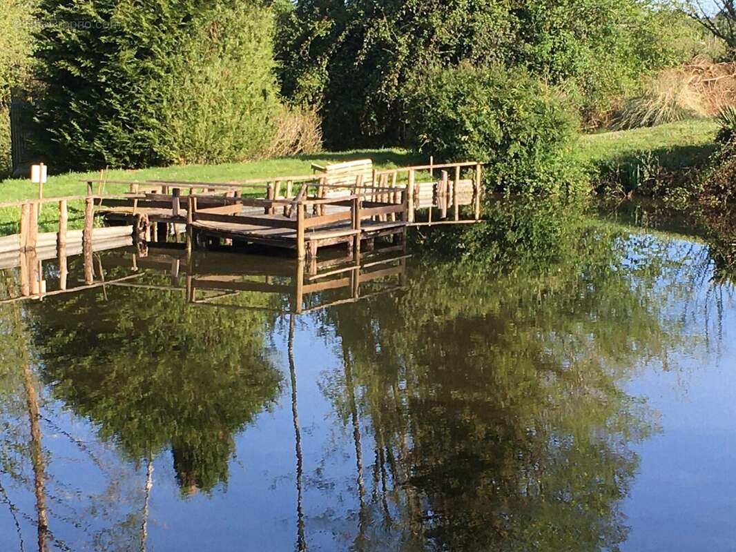 Terrain à MONTFORT-LE-GESNOIS