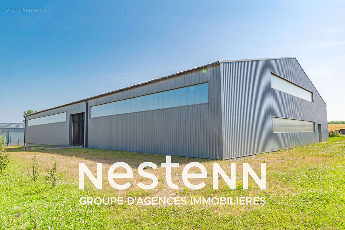 Commerce à PAMPELONNE