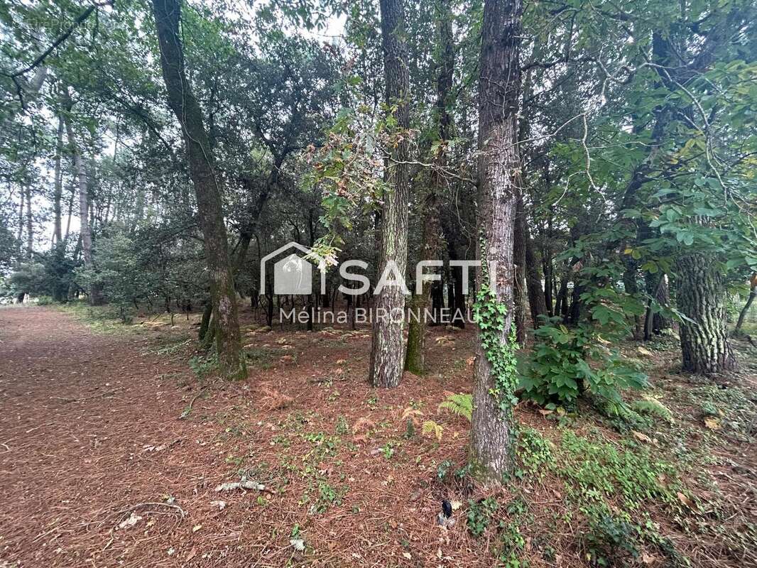 Photo 4 - Terrain à JARD-SUR-MER