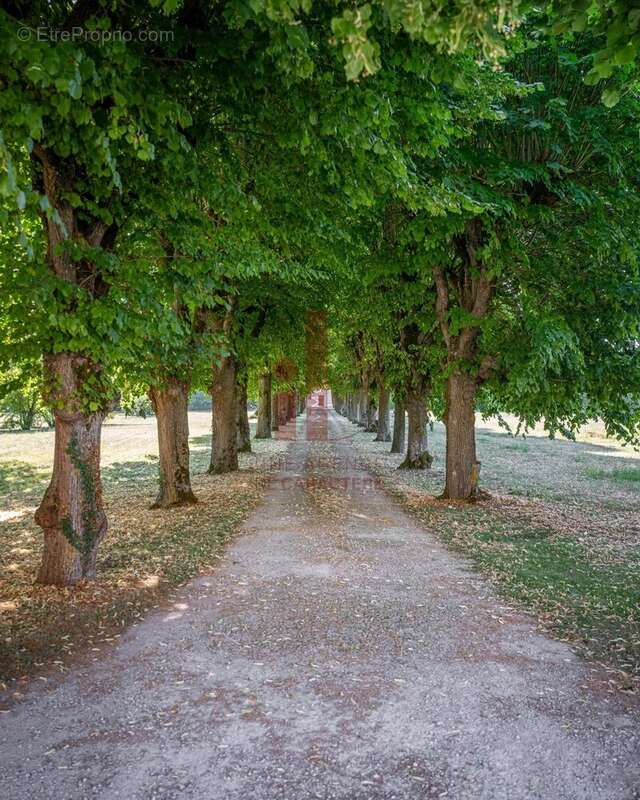 Maison à FONTAINEBLEAU