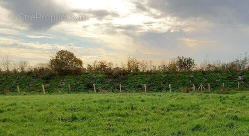 Terrain à FROSSAY