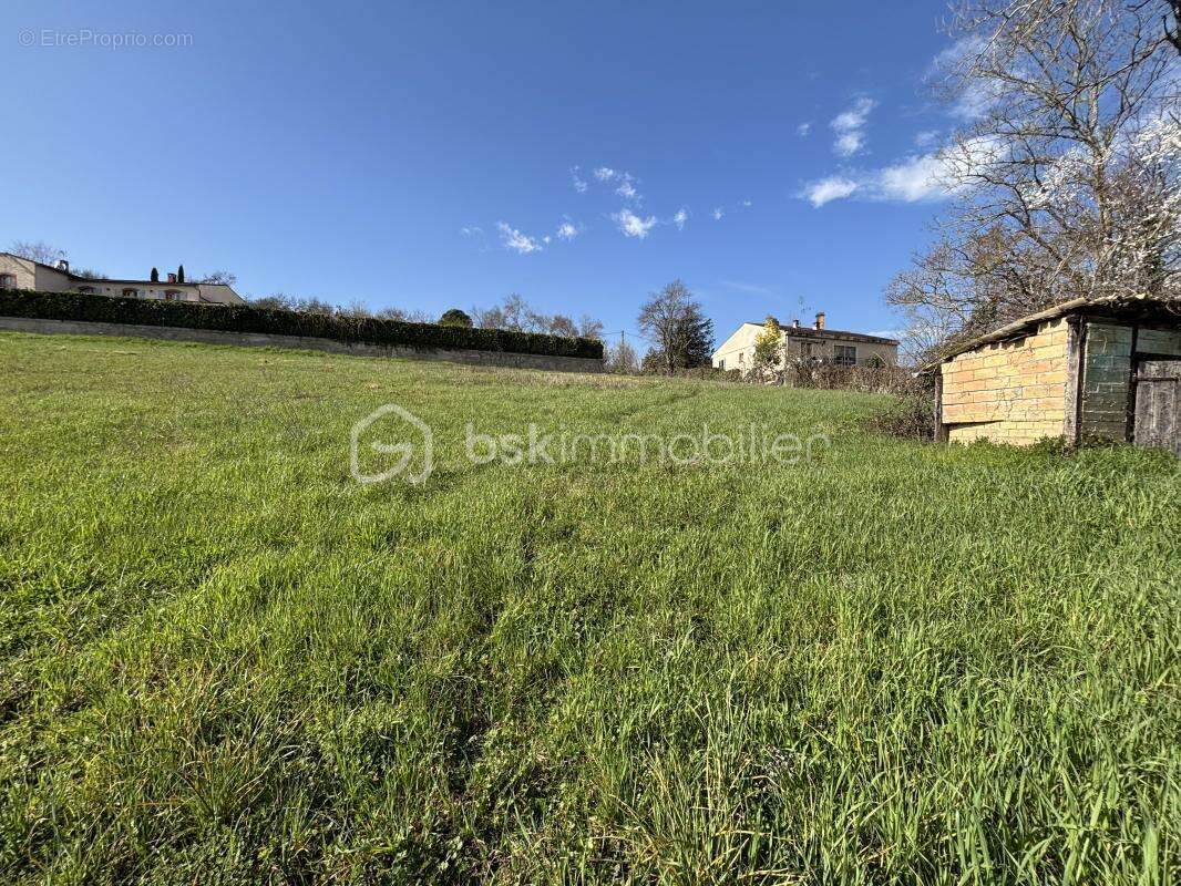 Terrain à RABASTENS