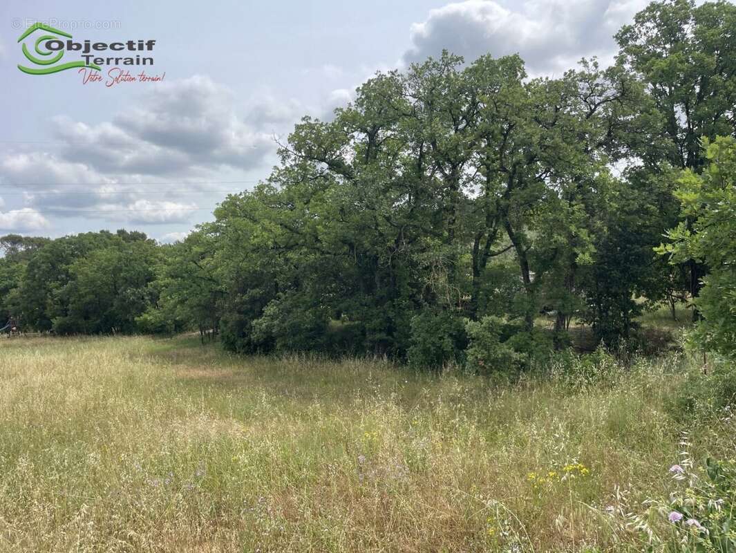 Terrain à CLERMONT-L&#039;HERAULT
