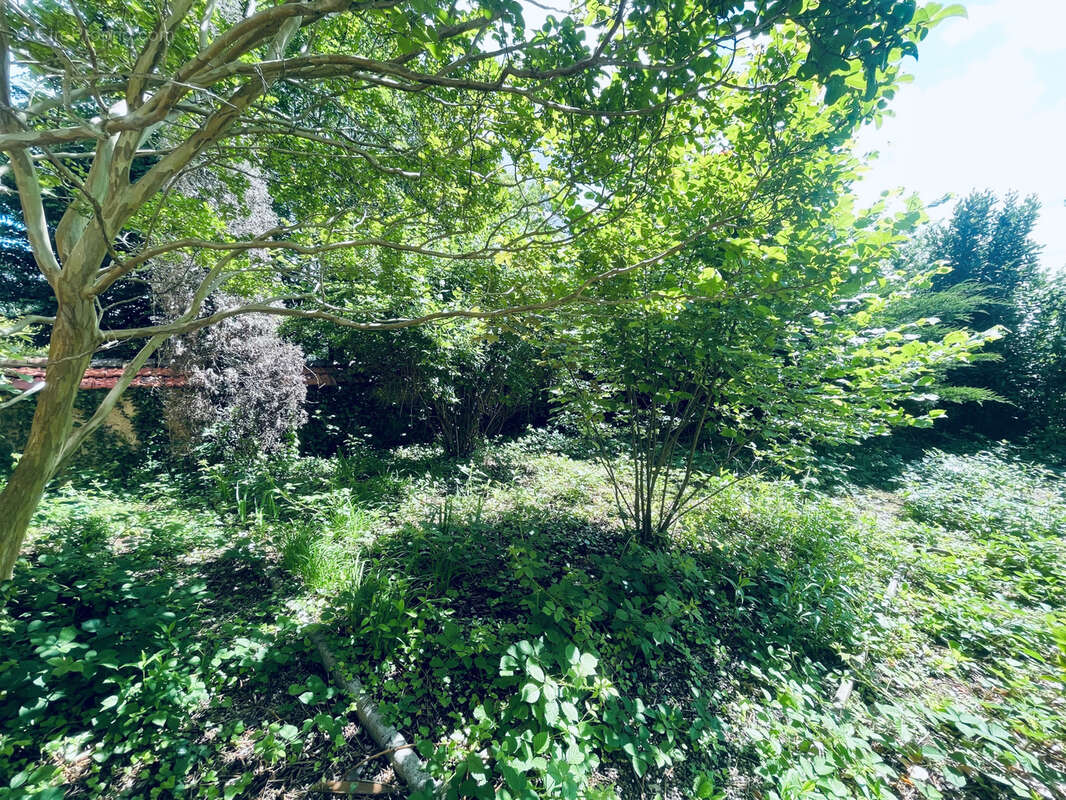 Tassin Les Trois Renards calme maison charme années 30 jardin garage prévoir travaux - photo 3