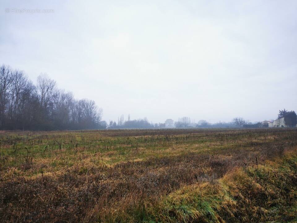 Terrain à VITERBE