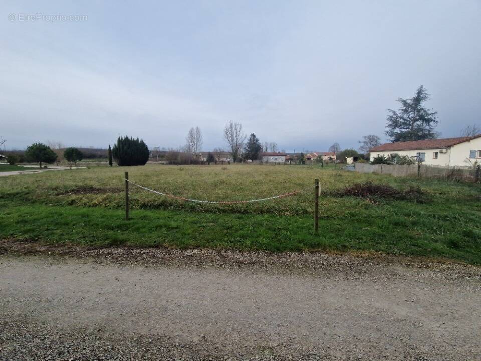 Terrain à MARTRES-TOLOSANE